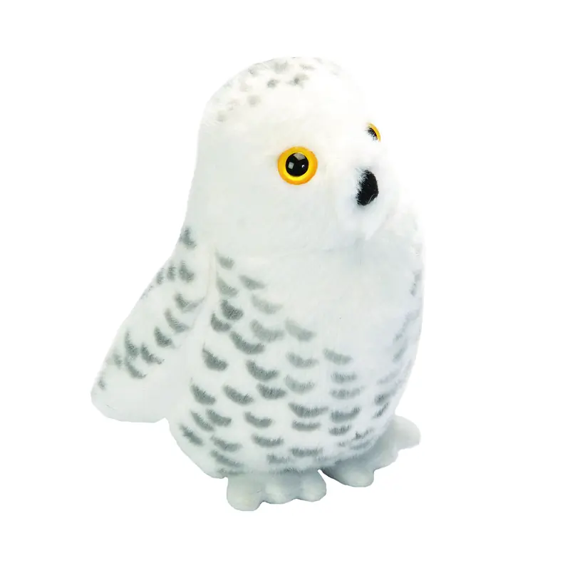 Harfang des neiges (avec son)