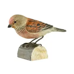 Linotte mélodieuse (bois)