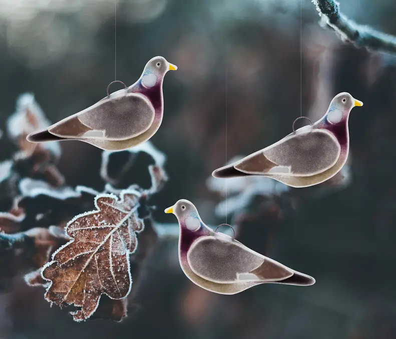 Pigeon ramier (verre)