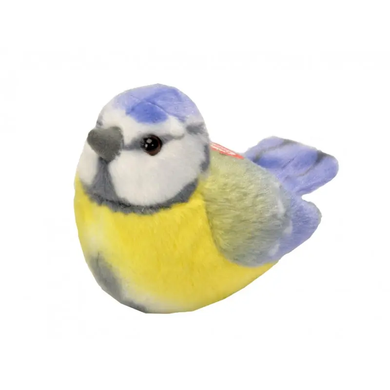 Mésange bleue (avec son)