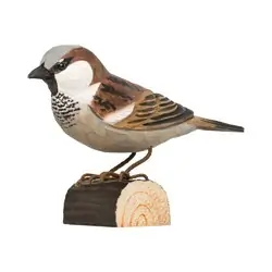 Moineau domestique (bois)