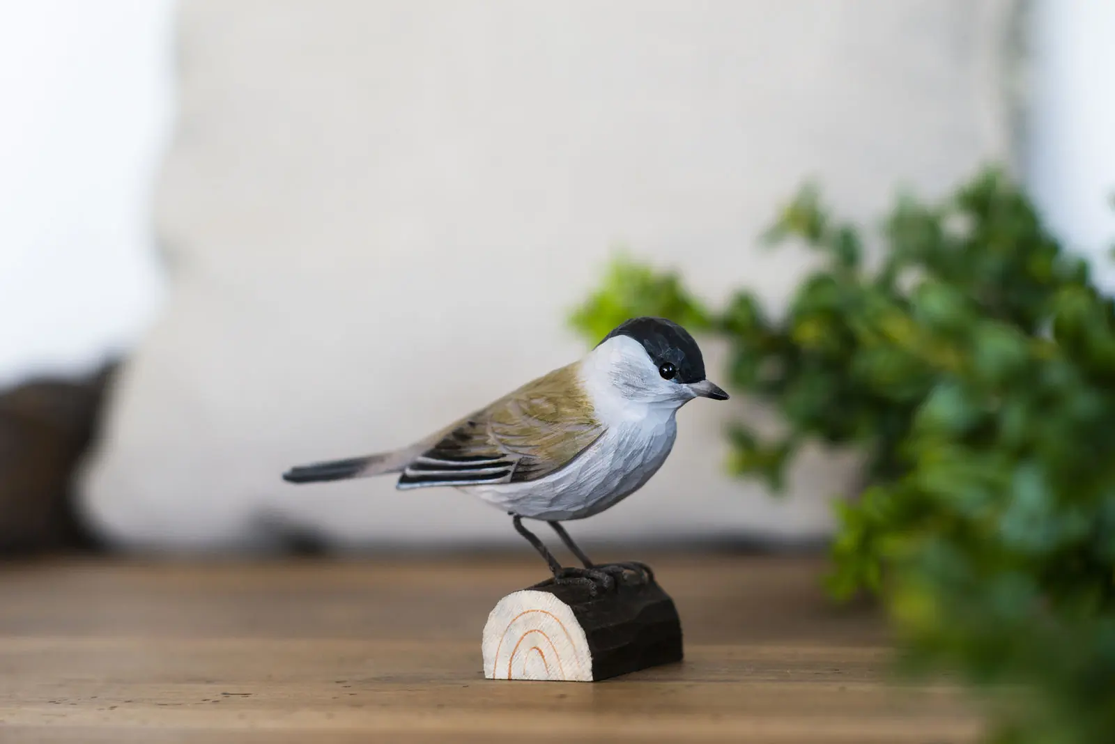 Fauvette à tête noire (bois)