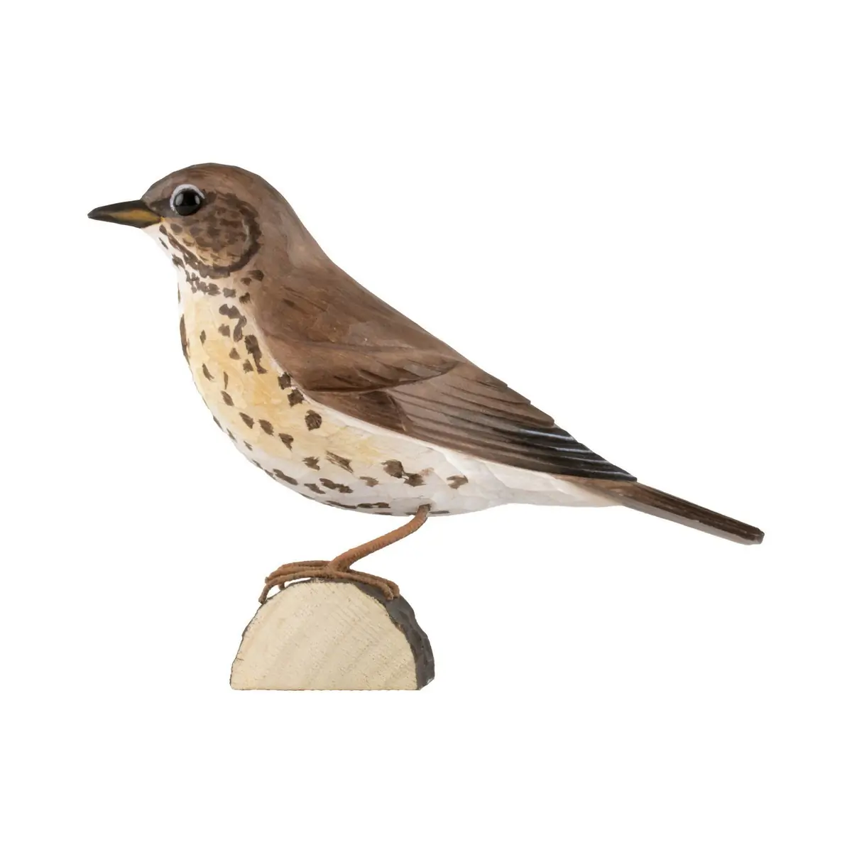 Grive musicienne (bois)