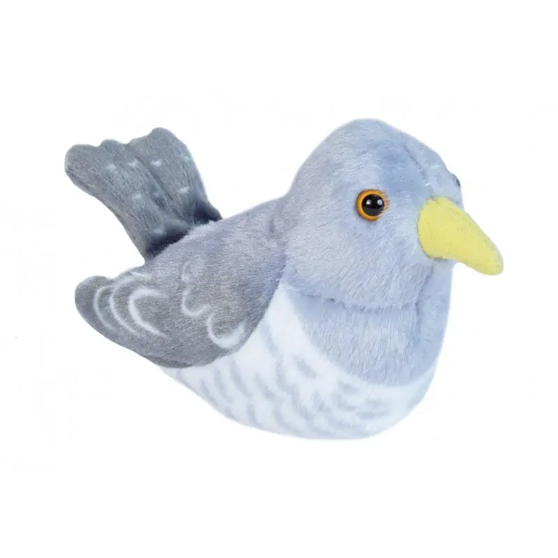 Coucou gris (avec son)