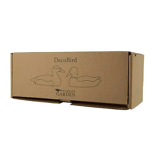 Eider à duvet (bois)