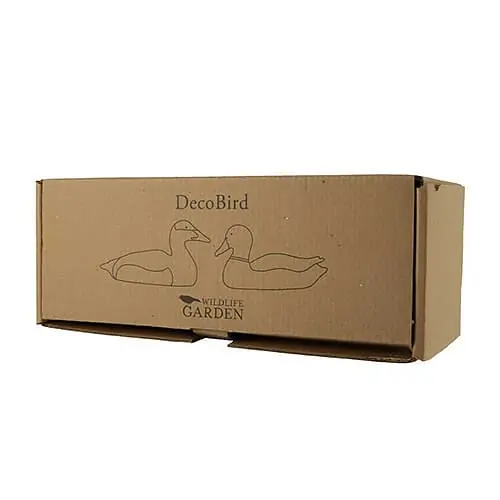Canard colvert - femelle (bois)
