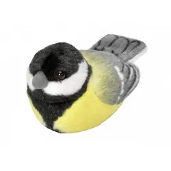 Mésange charbonnière (avec son)