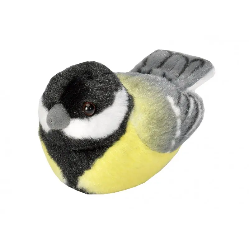 Mésange charbonnière (avec son)