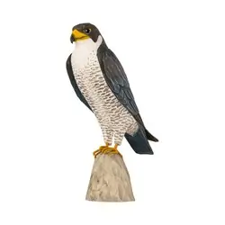 Faucon pèlerin (bois)