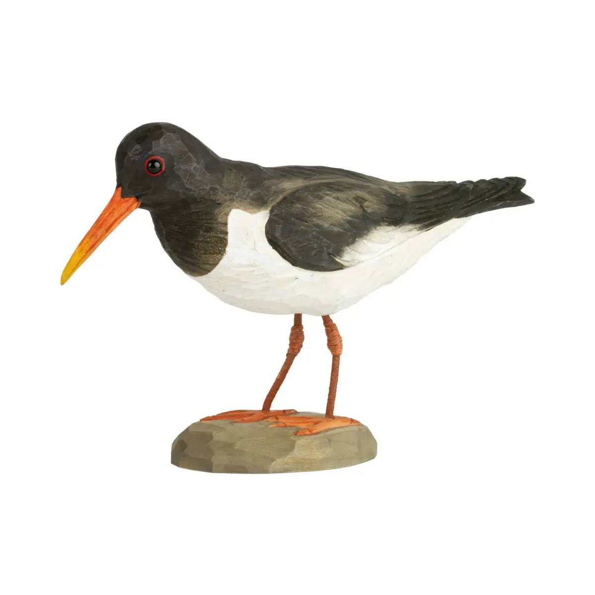 Huîtrier pie (bois)