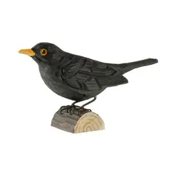 Merle noir (bois)