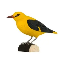 Loriot (bois)