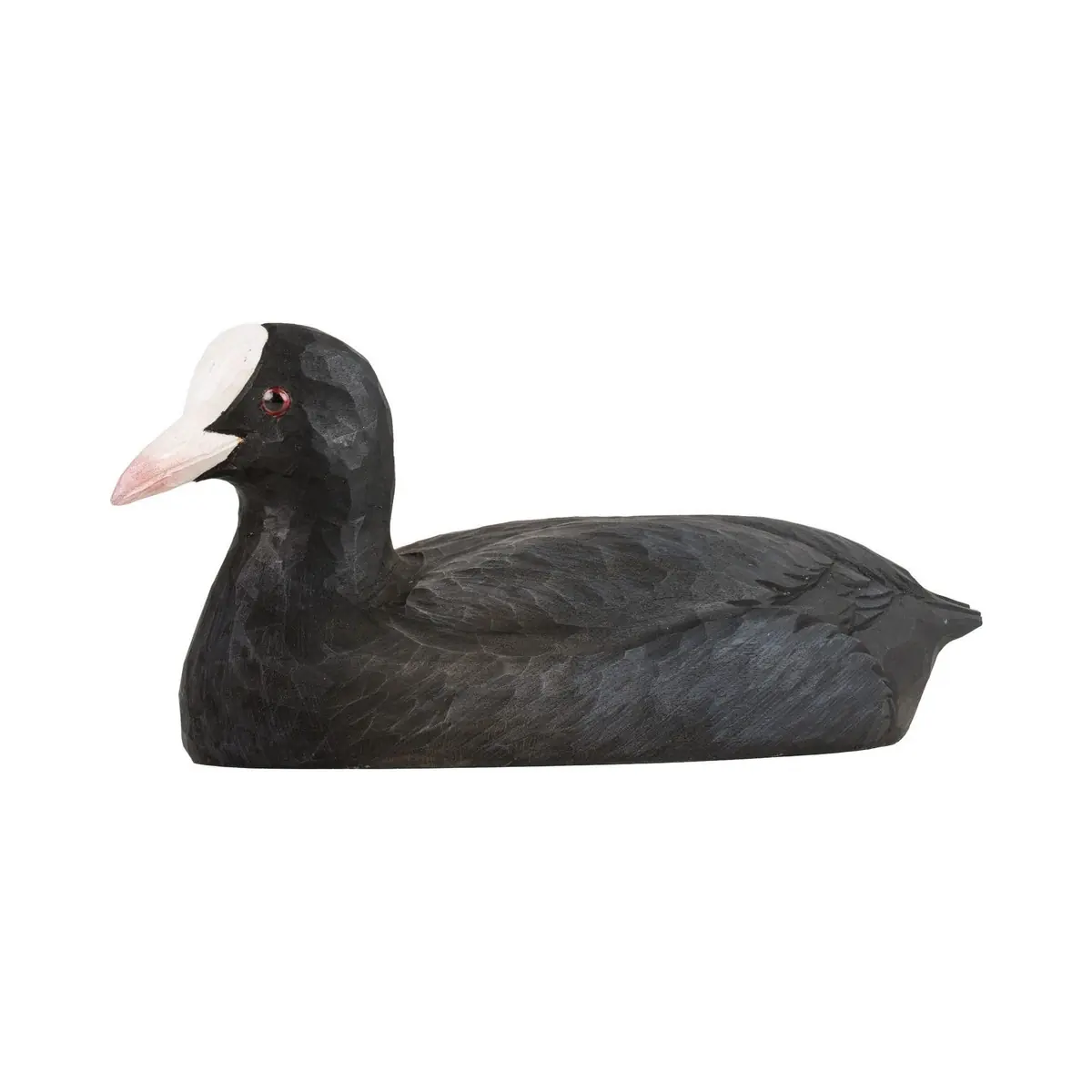 Foulque macroule (bois)
