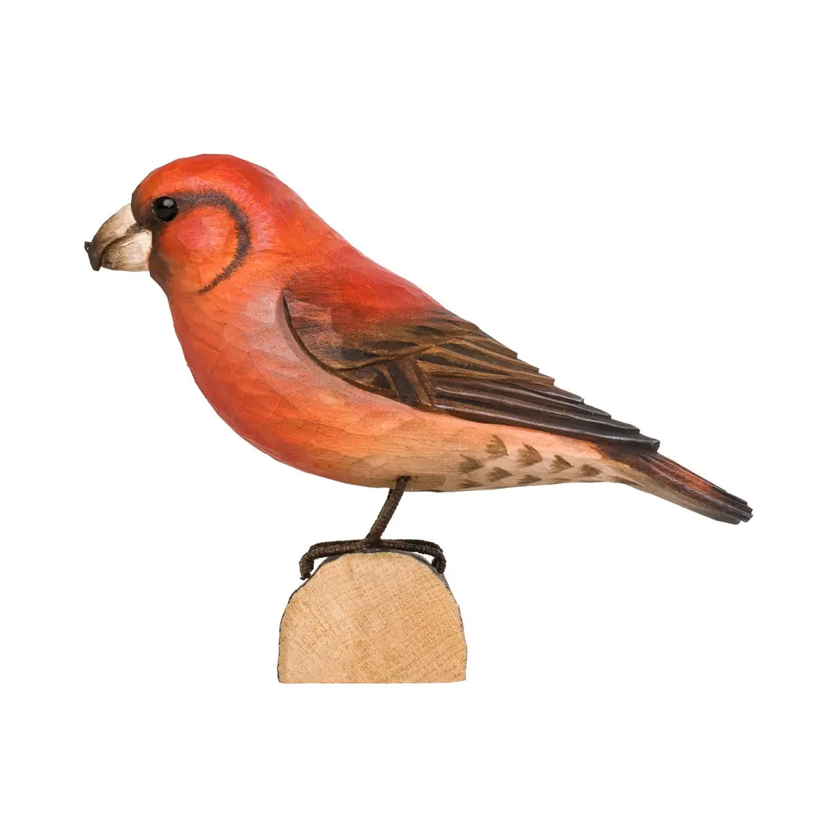 Bec-croisé des sapins (bois)