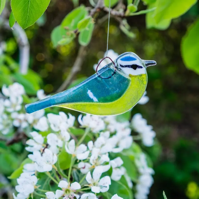 Mésange bleue (verre)