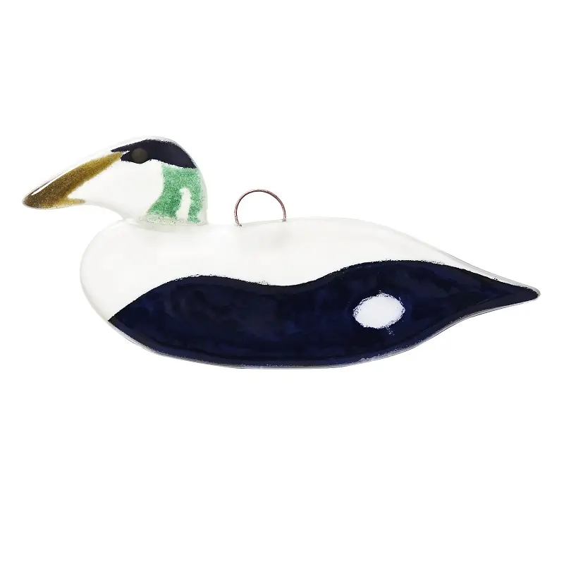 Eider à duvet (verre)
