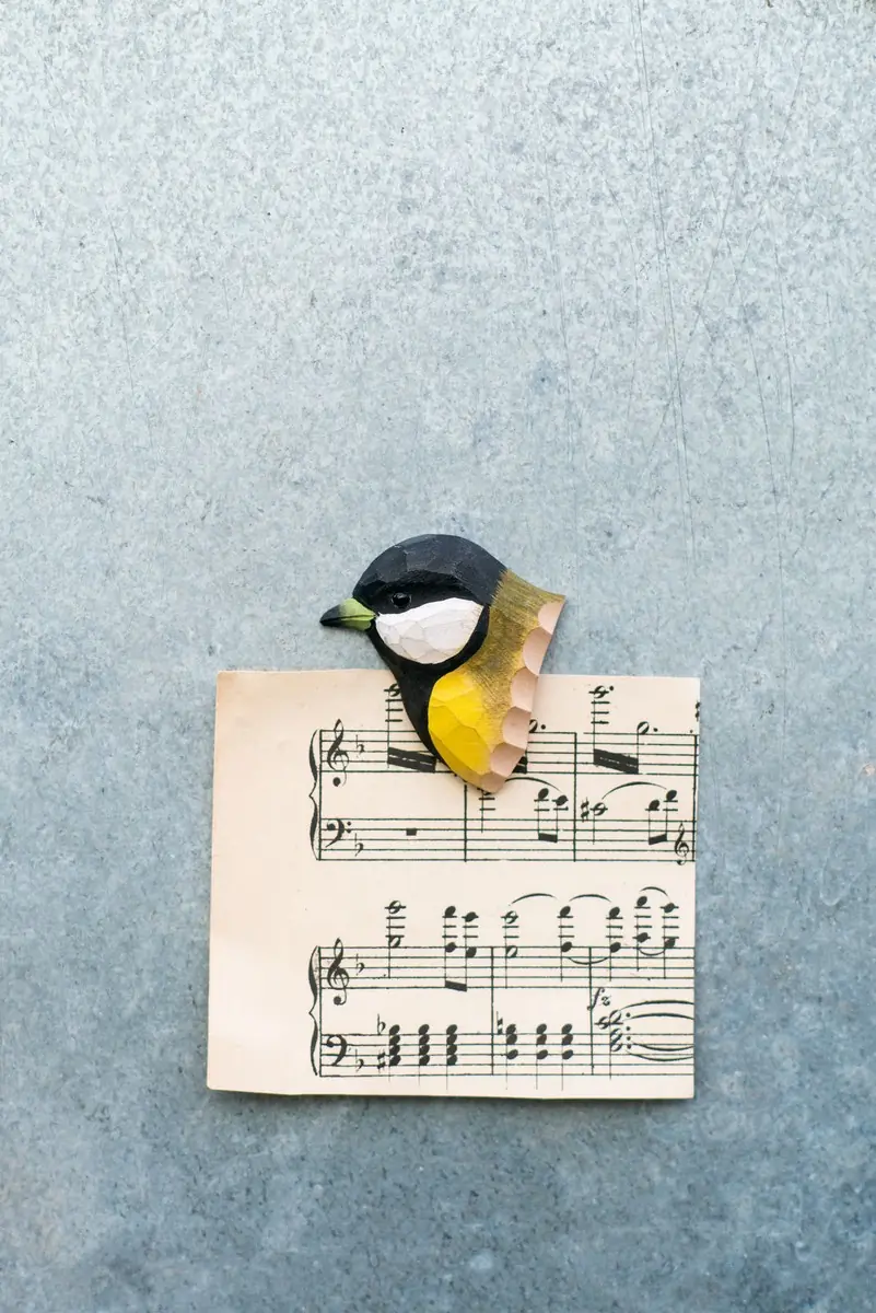 Aimant (mésange charbonnière)