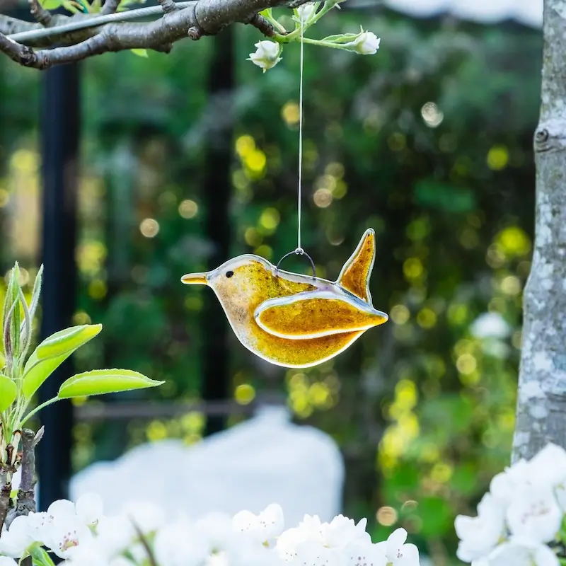 Troglodyte mignon (verre)