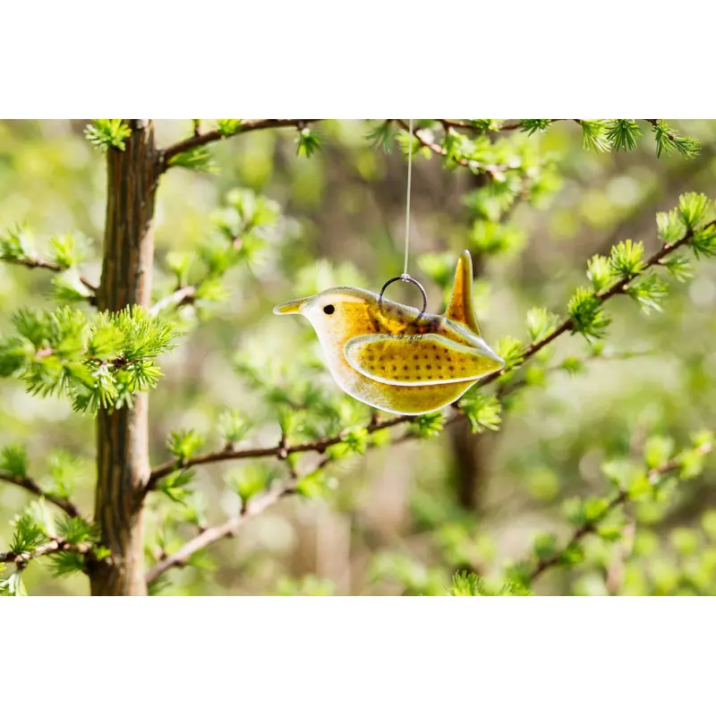 Troglodyte mignon (verre)