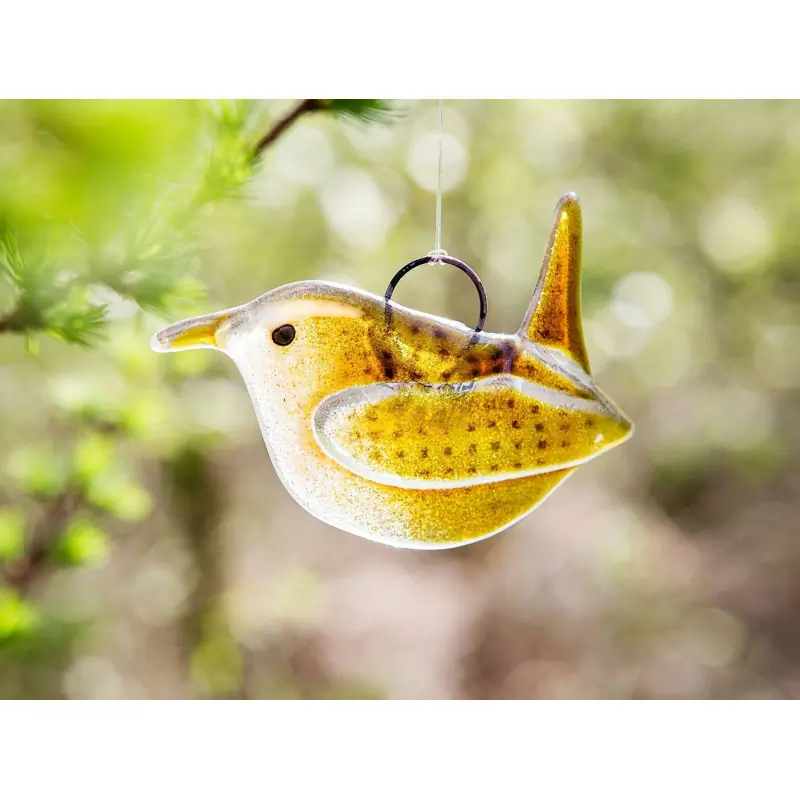 Troglodyte mignon (verre)