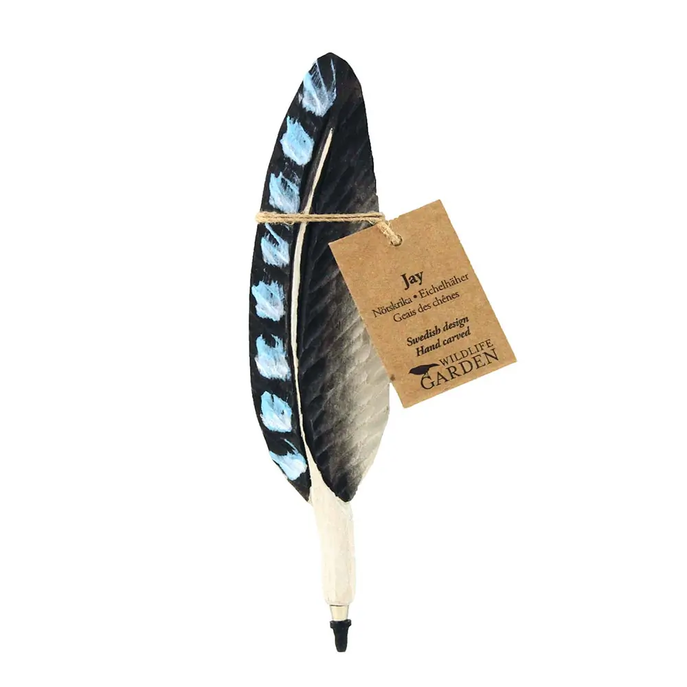 Stylo (geai des chênes)
