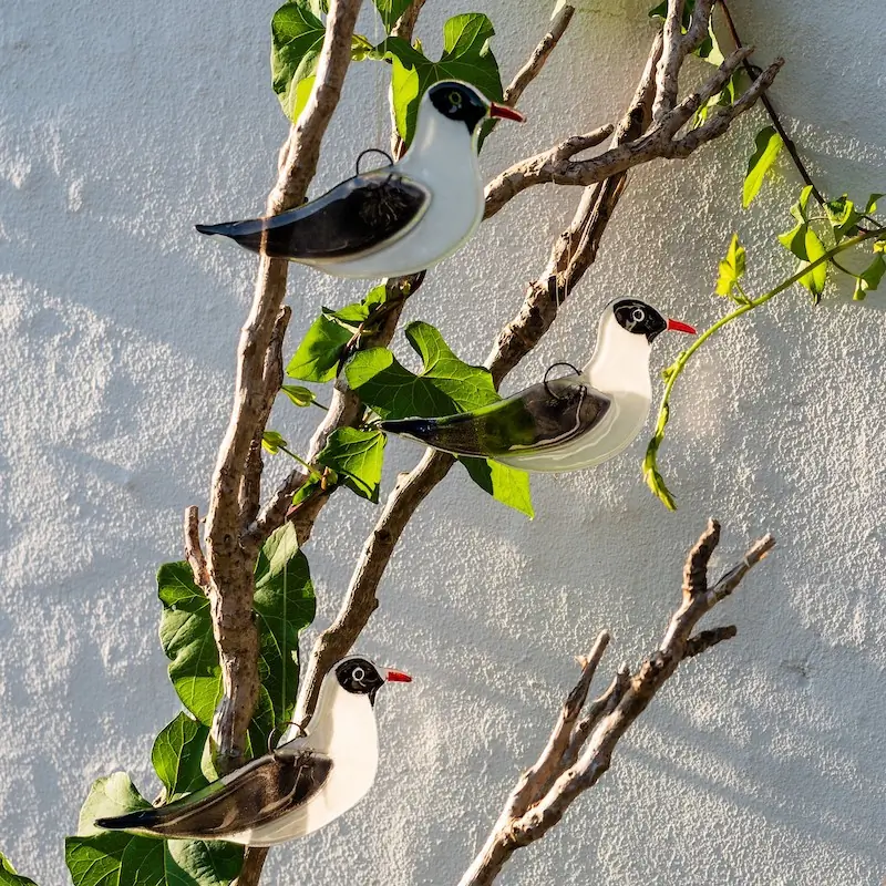 Mouette rieuse (verre)