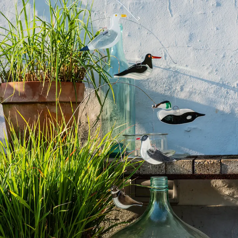Mouette rieuse (verre)