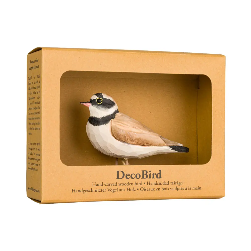 Pluvier petit-gravelot (bois)