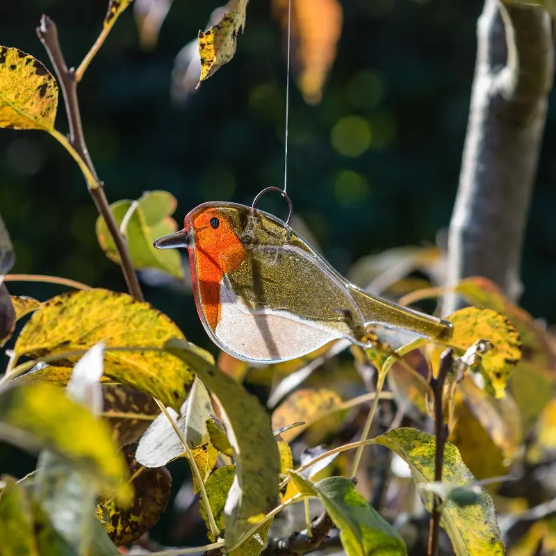 Rouge-gorge familier (verre)