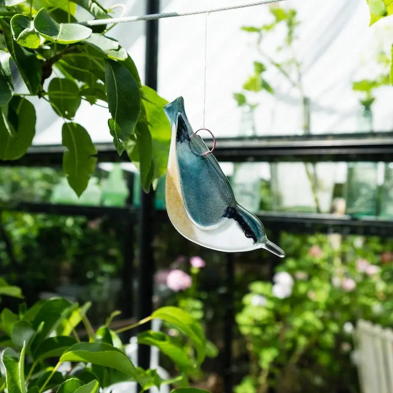 Sittelle torchepot (verre)