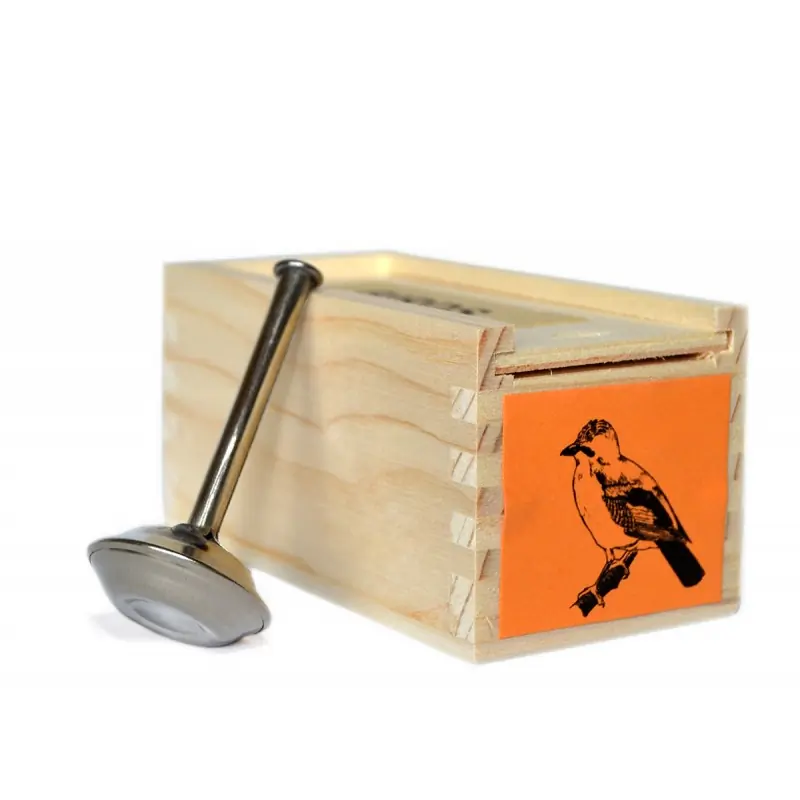 Geai des chênes (sifflet d'oiseau)