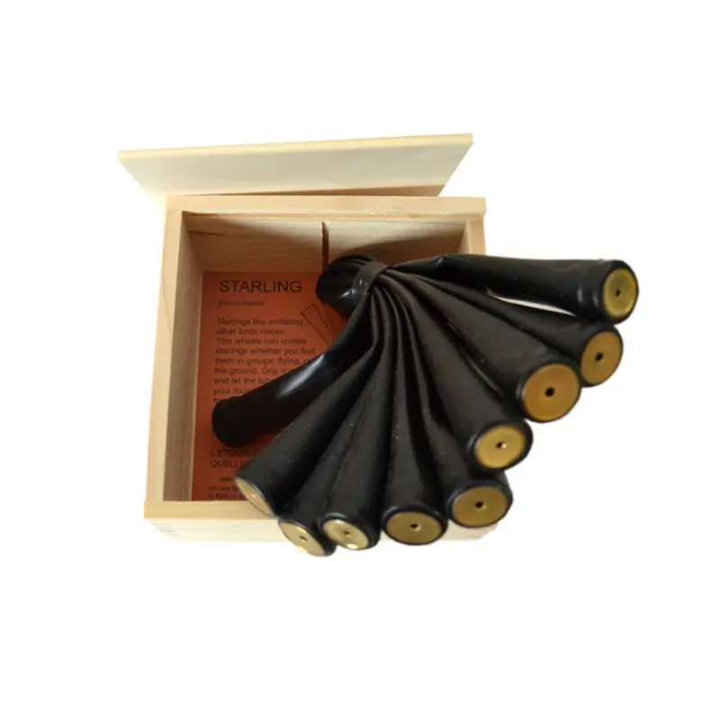 Étourneau sansonnet (sifflet d'oiseau)