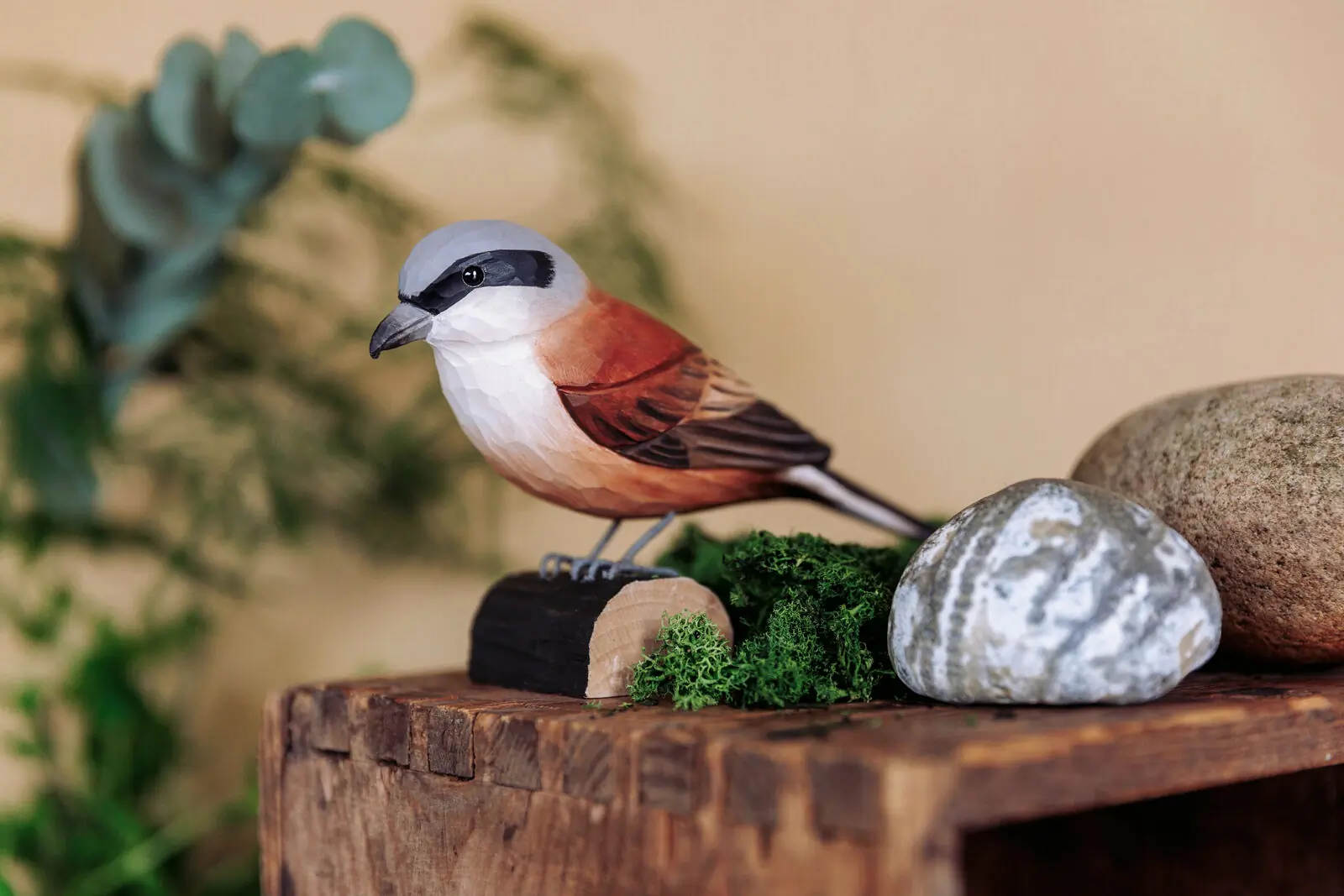 Pie-grièche écorcheur (bois)