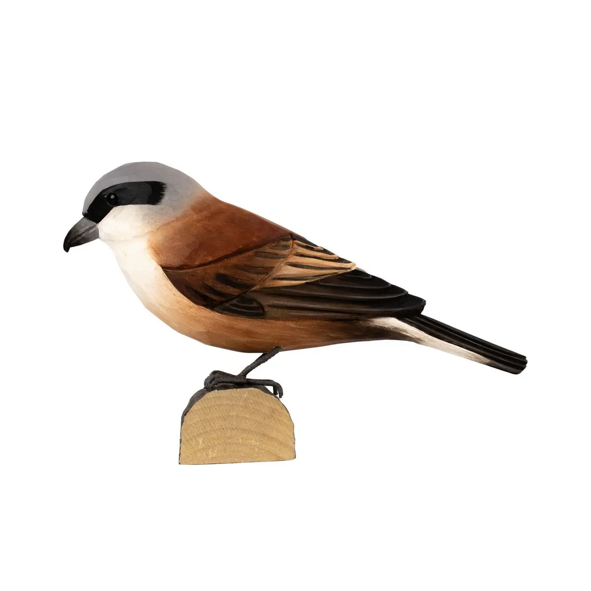Pie-grièche écorcheur (bois)